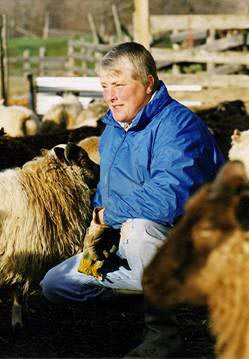 Stefania &mdash; The Queen of Icelandic Sheep